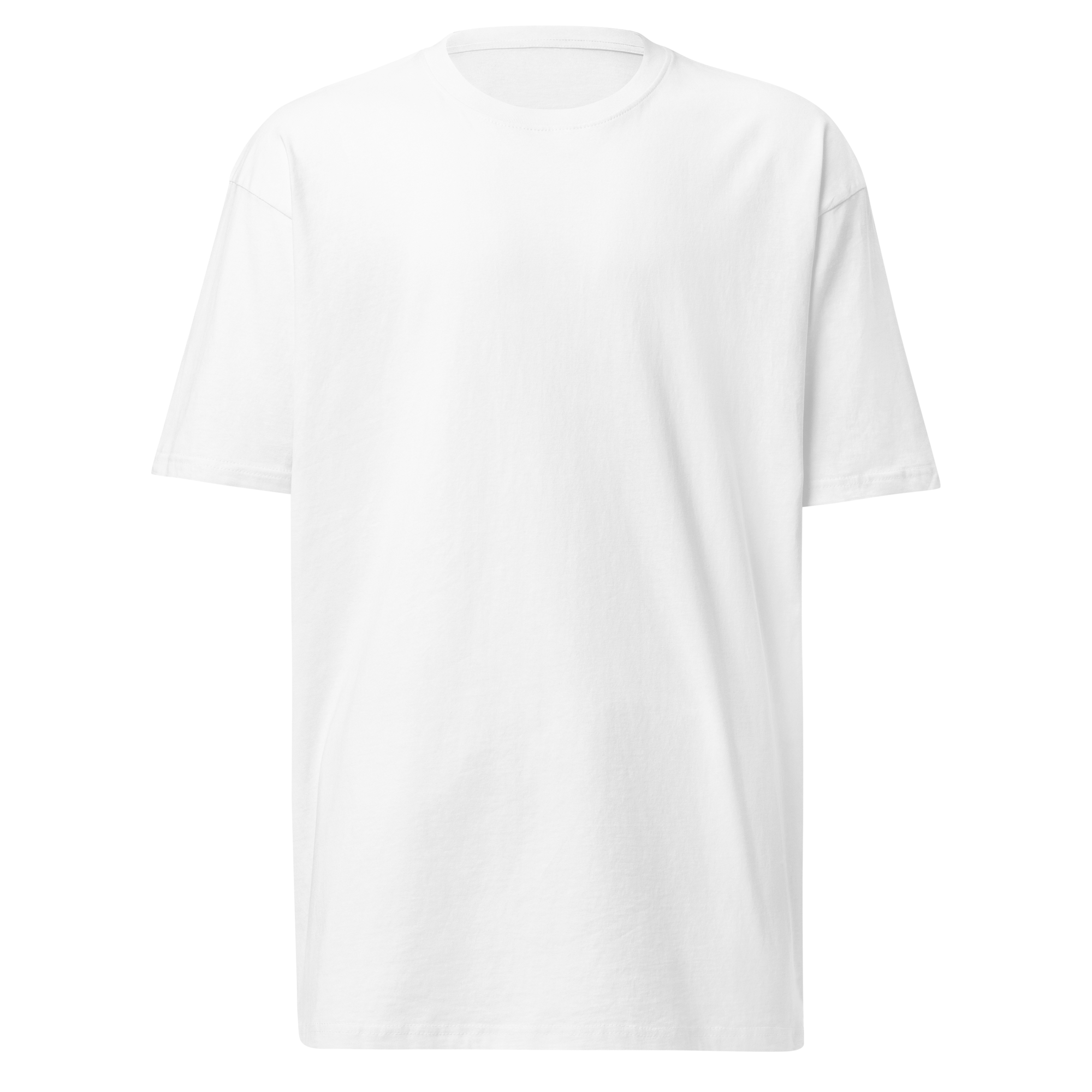 Men's T-Shirt in White, seen from the front.